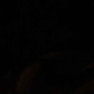 Meet your Posher, Rav